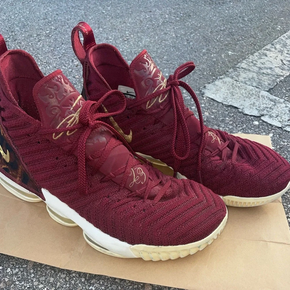 Nike lebron 16